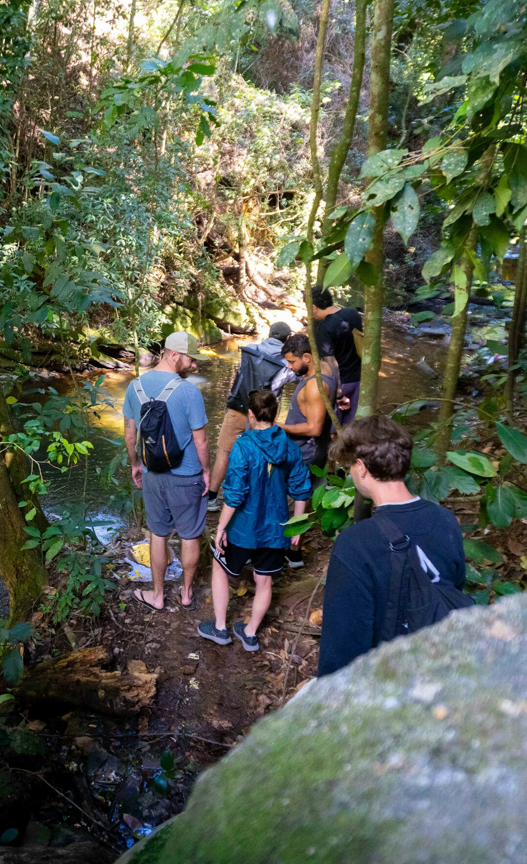 group walking in nature
