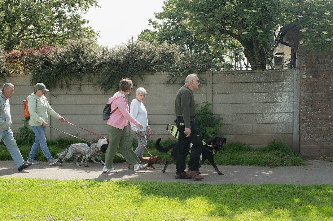 person walking in park