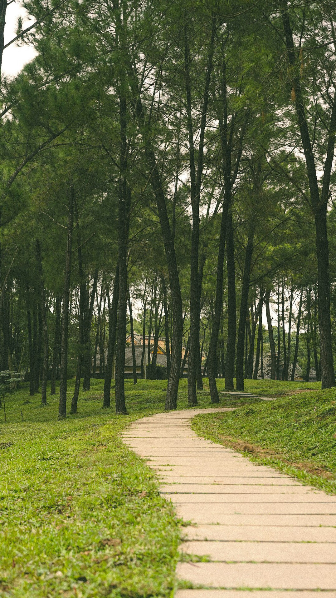 peaceful outdoor walk